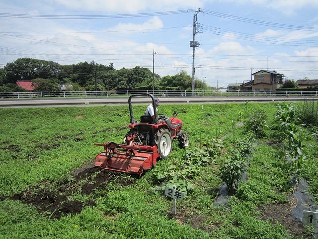 ボランティア２